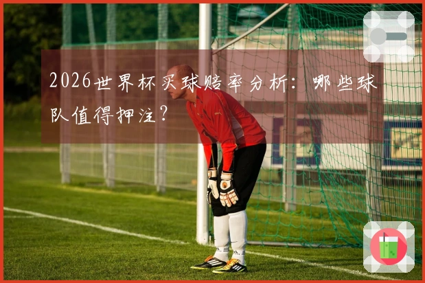 2026世界杯买球赔率分析：哪些球队值得押注？