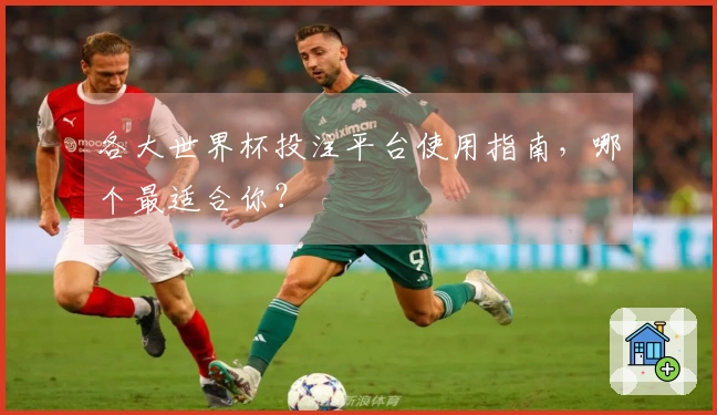 各大世界杯投注平台使用指南，哪个最适合你？