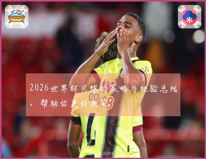 2026世界杯买球的策略与经验总结，帮助你更好决策