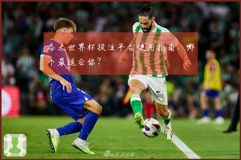 各大世界杯投注平台使用指南，哪个最适合你？