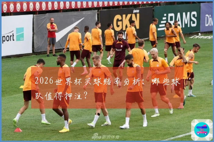 2026世界杯买球赔率分析：哪些球队值得押注？