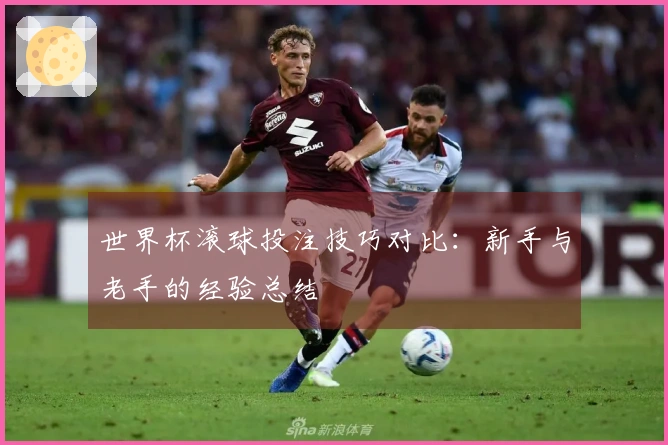 世界杯滚球投注技巧对比：新手与老手的经验总结